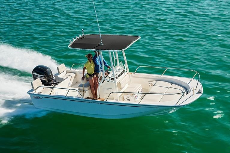 Boston Whaler 190 Montauk 2026