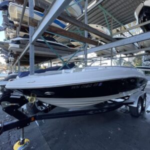 Sea Ray 210 Select 2010